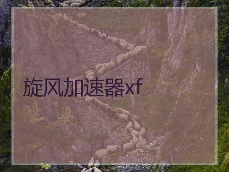 旋风加速器xf