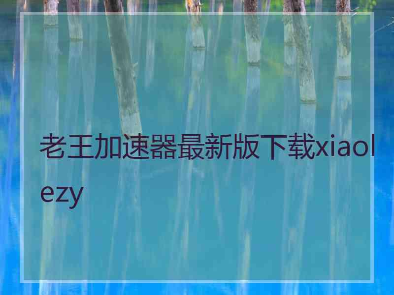 老王加速器最新版下载xiaolezy