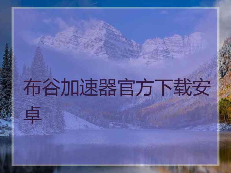 布谷加速器官方下载安卓