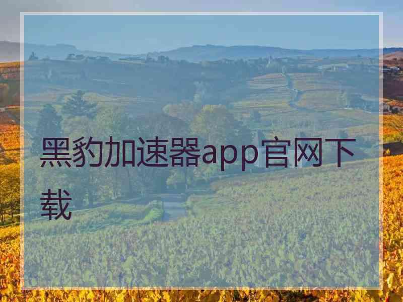 黑豹加速器app官网下载