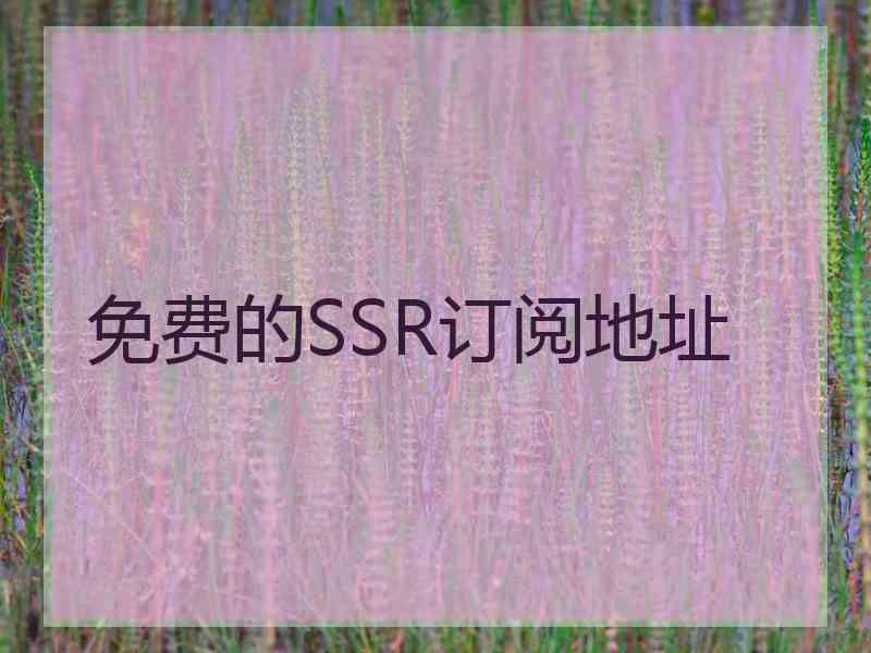 免费的SSR订阅地址