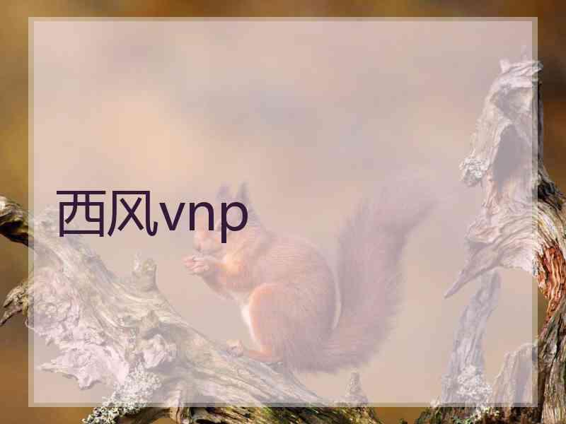 西风vnp