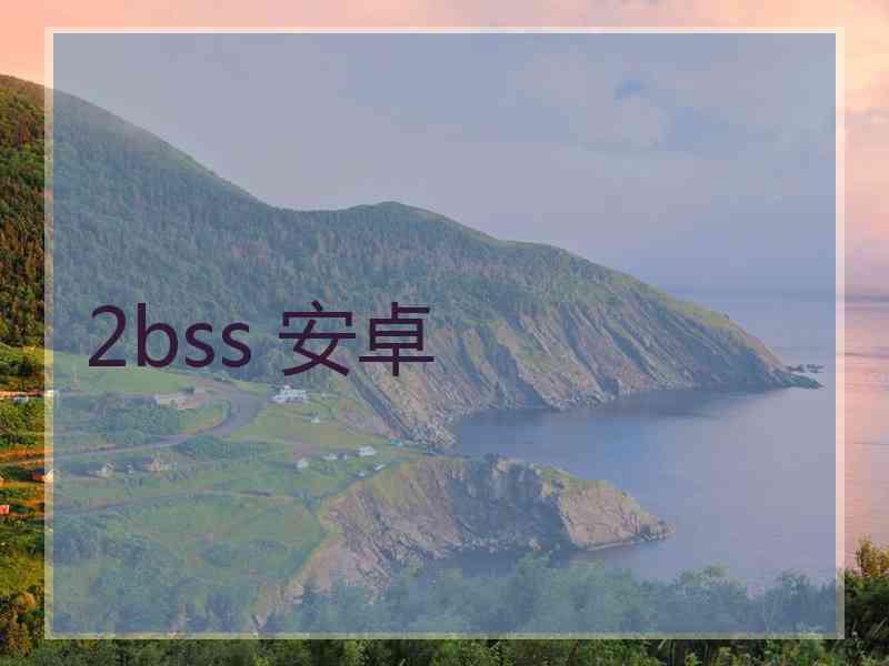 2bss 安卓