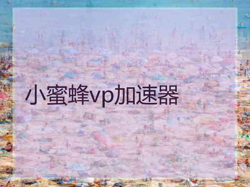 小蜜蜂vp加速器