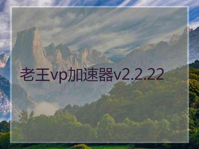 老王vp加速器v2.2.22