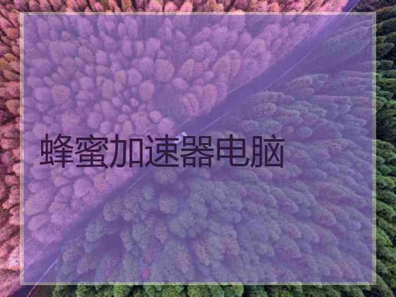 蜂蜜加速器电脑