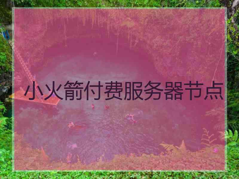 小火箭付费服务器节点