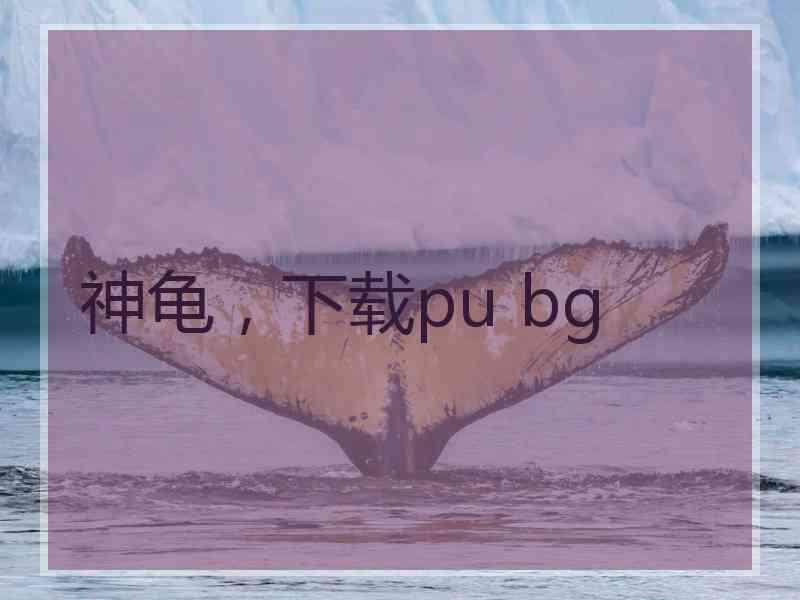 神龟，下载pu bg