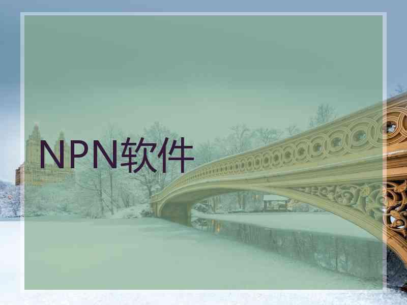 NPN软件