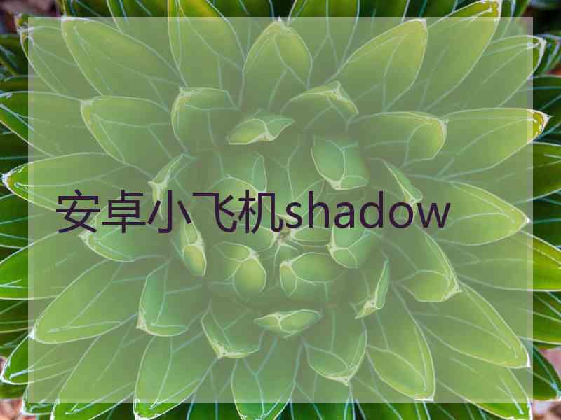 安卓小飞机shadow