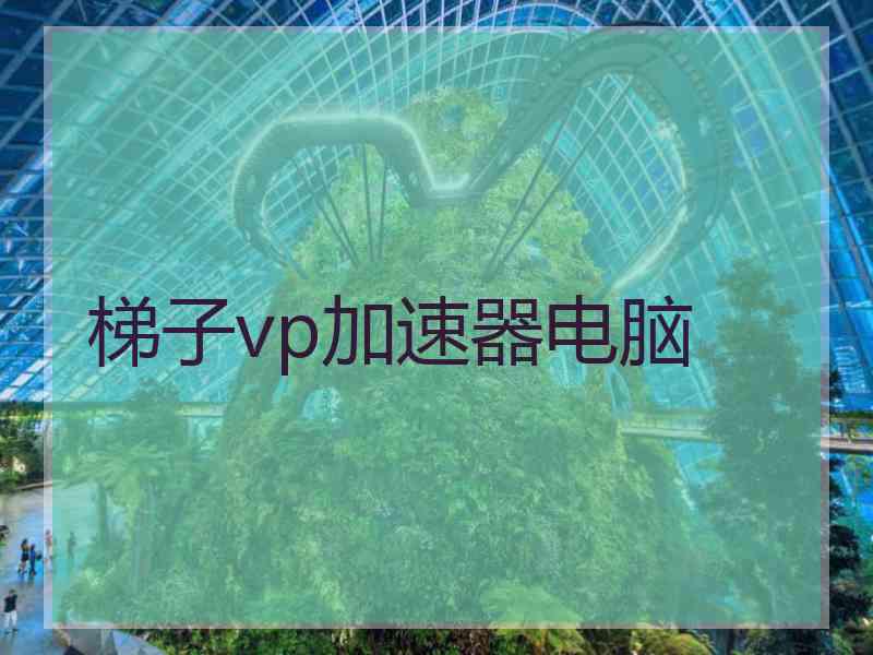 梯子vp加速器电脑