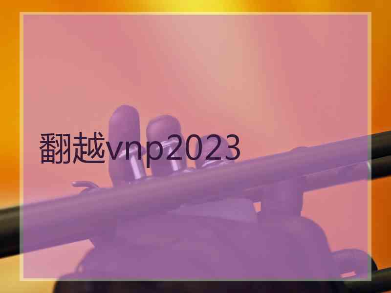 翻越vnp2023